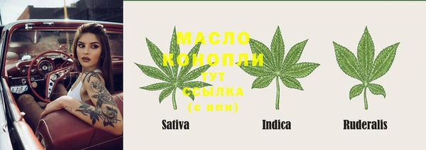 индика Белокуриха