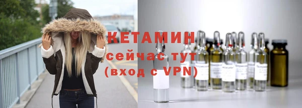 индика Белокуриха