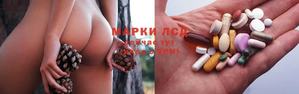 индика Белокуриха