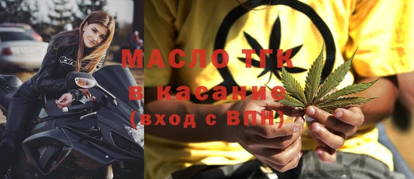 индика Нязепетровск