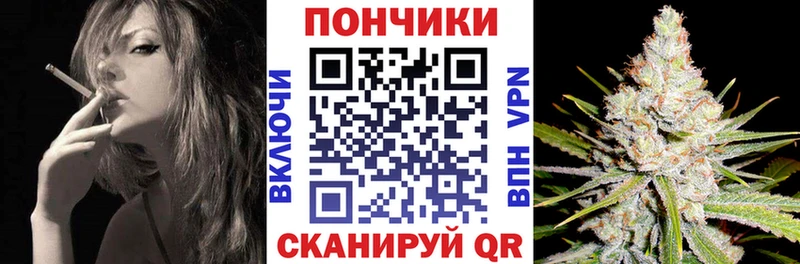 ссылка на мегу tor  маркетплейс состав  Конопля конопля  Кондопога 